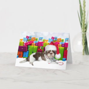 Carte Shih Tzu Chien de Noël