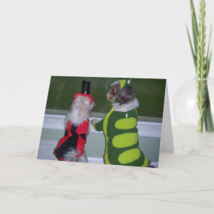 Carte Shih Tzu Halloween