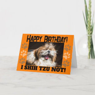 Carte Shih tzu ne rit pas drôle Joyeux anniversaire salu