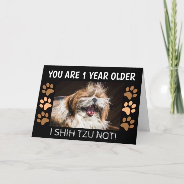 Carte Shih tzu pas drôle d'anniversaire 1 an de plus Sal (Devant)