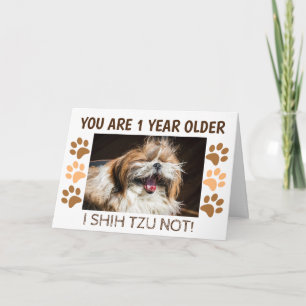 Carte Shih tzu pas drôle d'anniversaire 1 an de plus Sal