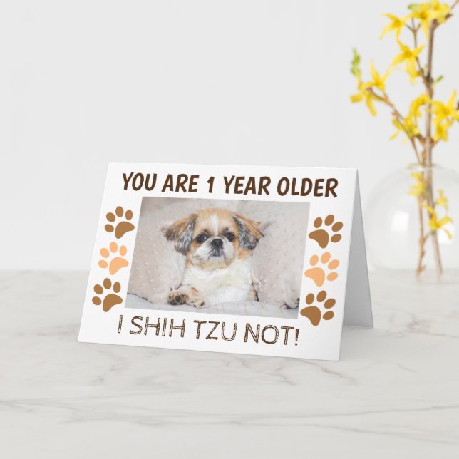 Carte Shih tzu pas mignon anniversaire 1 an plus de salu (Fleur jaune)