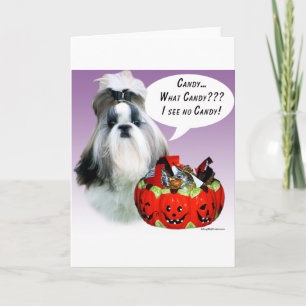 Carte Shih Tzu (préparé) Halloween Candy