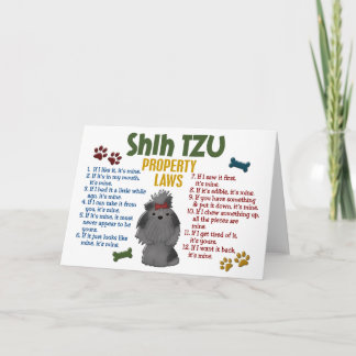 Carte Shih Tzu, propriété Lois 4