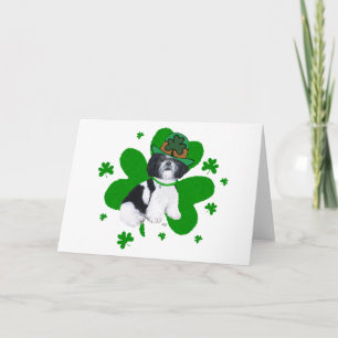 Carte Shih Tzu Saint-Patrick