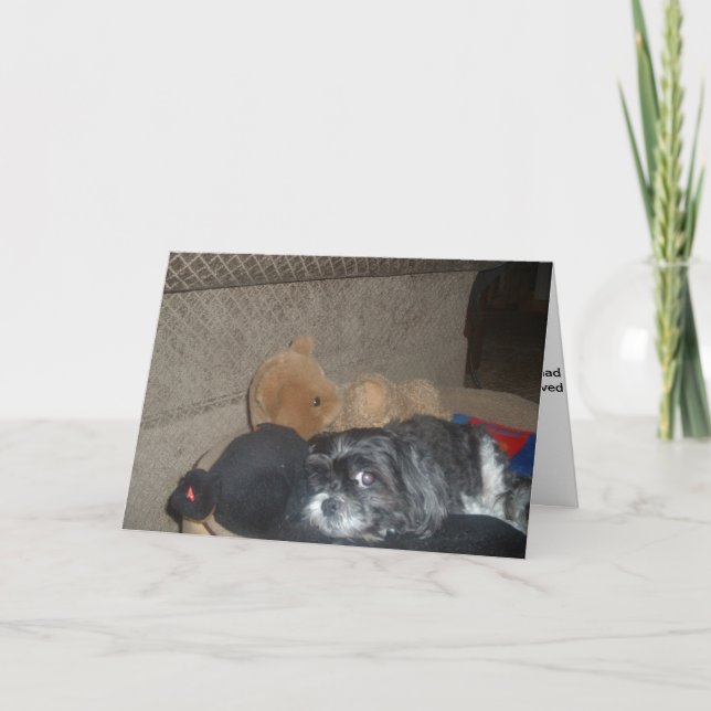 Carte Shih Tzu Sympathy Card (Devant)