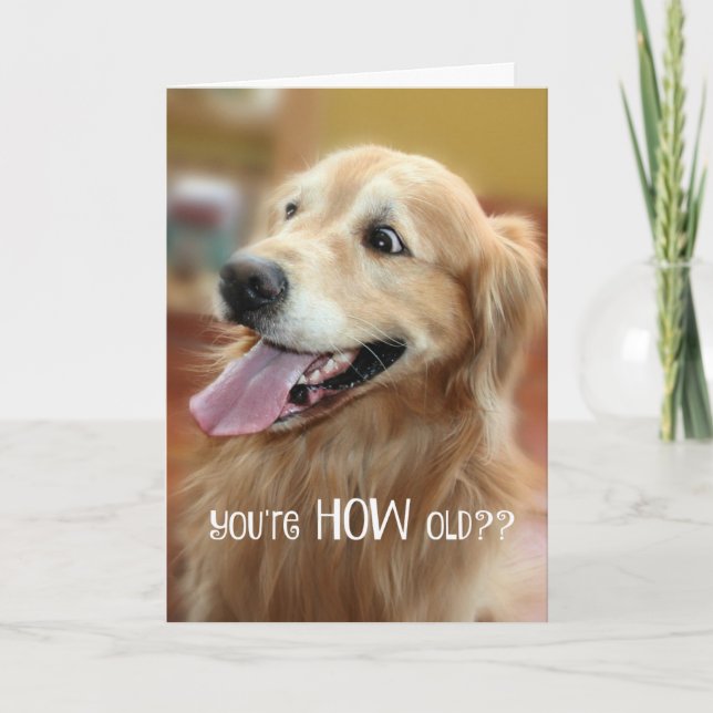 Carte Shocked Golden Retriever You are How Old Birthday (Devant)