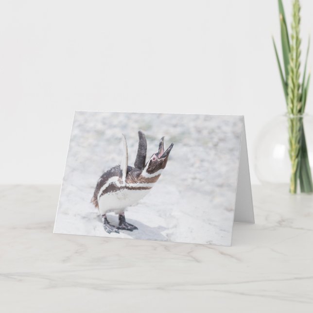 Carte Shouting Penguin (Devant)
