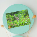 Carte Shy Deer Funny Wildlife Anniversaire<br><div class="desc">Une carte d'anniversaire humoristique pour celui qui essaie de cacher son anniversaire ! La carte présente l'image d'un cerf caché dans la brosse. Sélectionnez une carte de style mat ou brillant.</div>