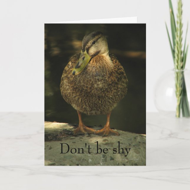 Carte Shy Mallard Valentine's Day Card (Devant)