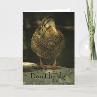 Carte Shy Mallard Valentine's Day Card
