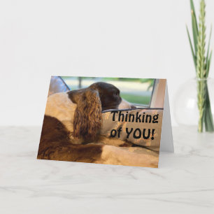 CARTE SI HEUREUX ET VOULANT VOUS FÉLICITER