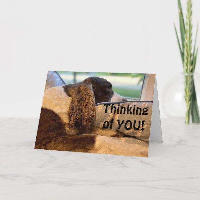 CARTE SI HEUREUX ET VOUS FÉLICITE (Devant)