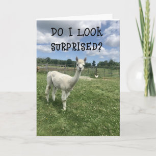 Carte *SI SURPRIS **20ème** ANNIVERSAIRE ! ! ! !*