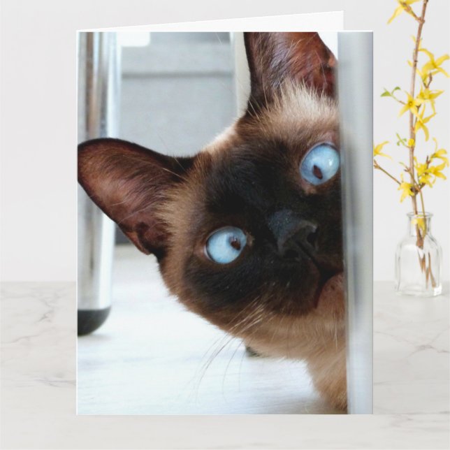 CARTE SIAMESE CAT PEEKING HAPPY BIRTHDAY GREETNG  (Fleur jaune)