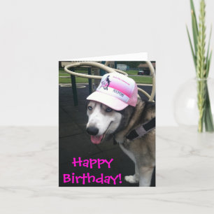Carte Sibérienne Husky Birthday Card