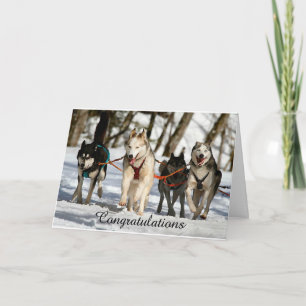 Carte Sibérienne Husky Graduation Card