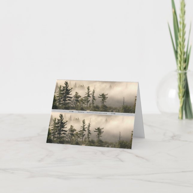 Carte Signet Foggy Mountain Meadow (Devant)