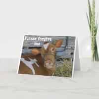 "S'IL VOUS PLAÎT" PARDONNEZ-MOI POUR AVOIR OUBLIÉ