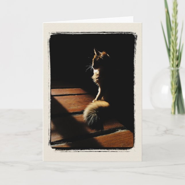 Carte Silhouette de chat somalien (Devant)