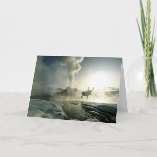 Carte Silhouette d'Elk au Castle Geyser