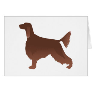 Carte Silhouette Irlandaise Setter Breed Illustrat