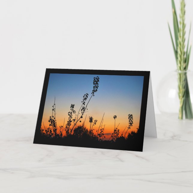 Carte Silhouettes de plantes estivales (Devant)