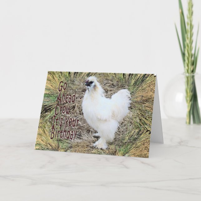 Carte Silkie Rooster (Devant)
