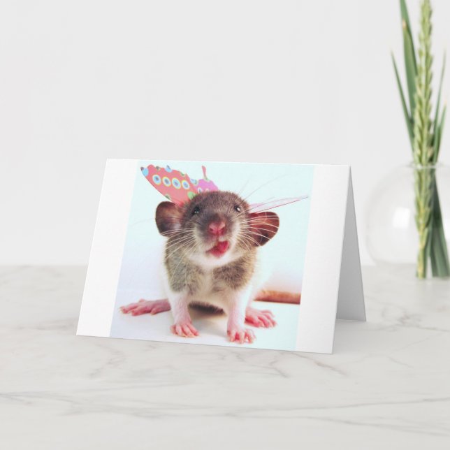 Carte Silly Flutterby Rat (Devant)