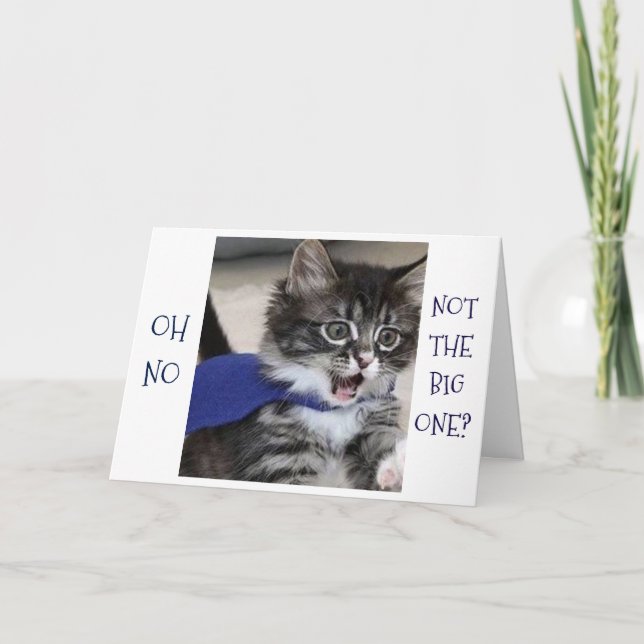 CARTE SILLY KITTY DIT "OH NON, PAS LE GRAND" ANNIVERSAIR (Devant)