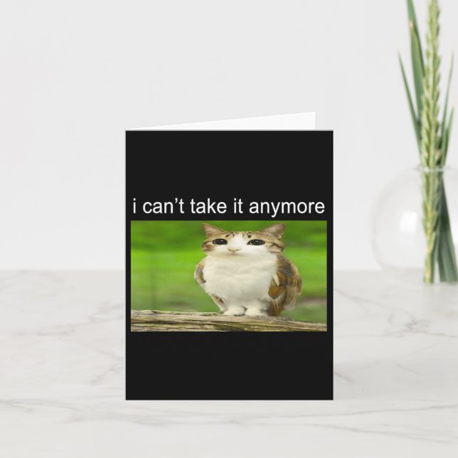 Carte Silly Owl Cat Meme I Can't Take It Anymore  (Devant)
