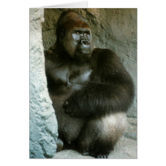 Carte Silverback Gorilla