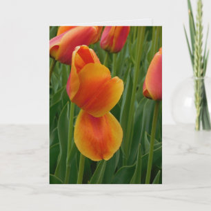 Carte simple avec tulipe dorée