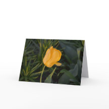 Carte simple avec une tulipe dorée