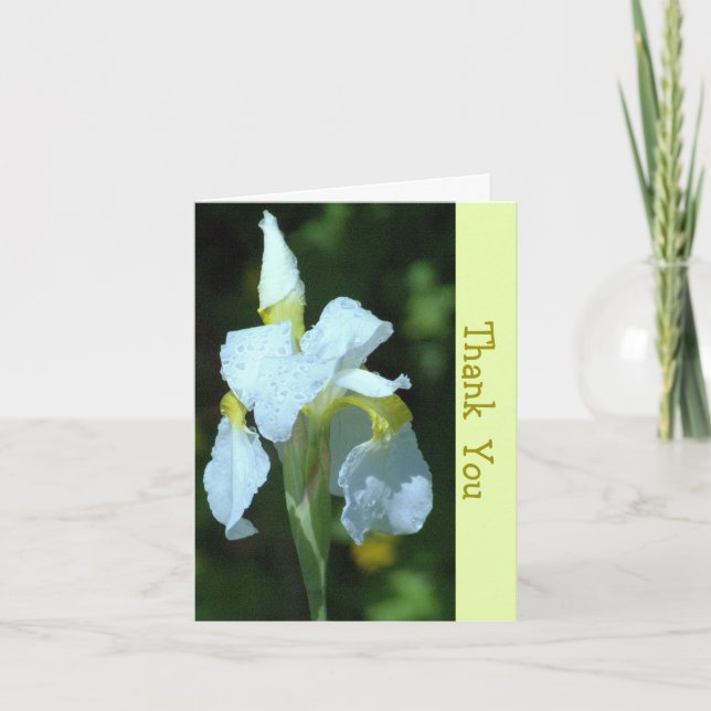 CARTE SIMPLE IRIS BLANC AVEC PLUIE (Devant)