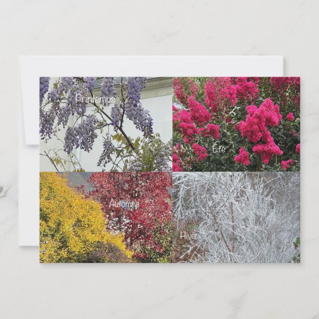 Carte simple Les Quatre Saisons (Devant)