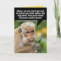 Singe drôle avec une coupe de cheveux