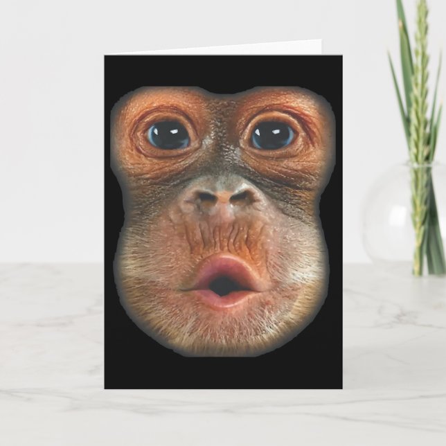 Carte Singe qui souffle le visage du ventre  (Devant)