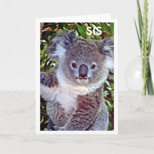 CARTE SIS CETTE "CARTE D'ANNIVERSAIRE DE KOALA EST JUSTE (Devant)