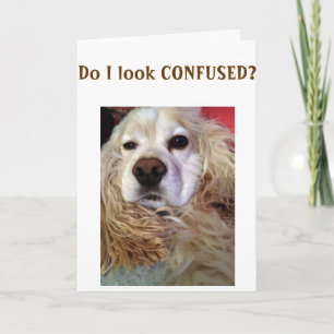 CARTE SIS JE SUIS TELLEMENT CONFONDU TU AS L'AIR D'UNE G