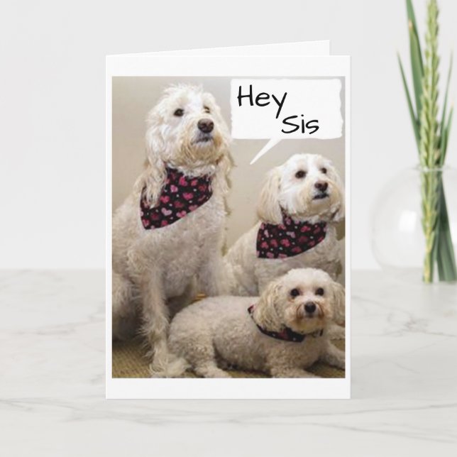 CARTE SIS SOUHAITÉ "HEUREUX ANNIVERSAIRE" PAR 3 PUPS (Devant)