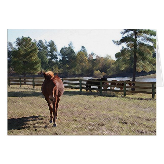 Carte Sissy Mule (Devant horizontal)