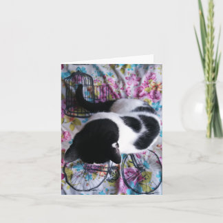 Carte Sitting Pretty Kitty Notecard