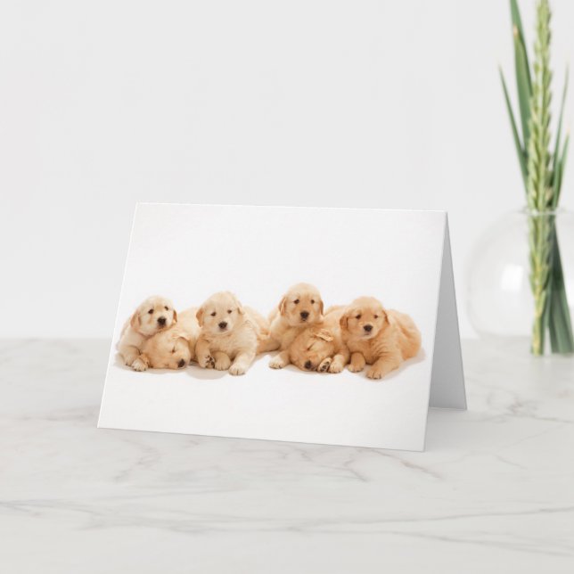 Carte Six Marionnettes Golden Retriever (Devant)
