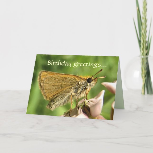 Carte Skipper à l'anniversaire de Milkweed (Devant)
