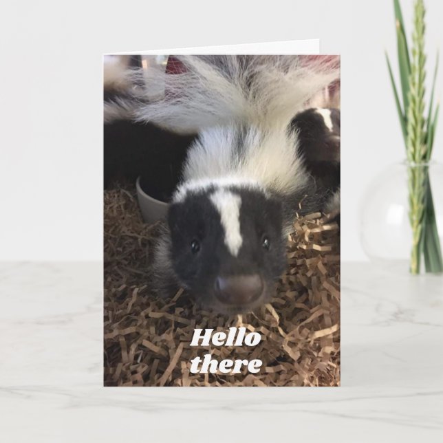 CARTE **SKUNK DIT JEUX ANNIVERSAIRE** (Devant)