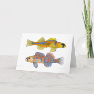 Carte Slackwater et Darters Orange-Throated