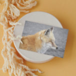 Carte Sleepy Red Fox Funny Faune Anniversaire<br><div class="desc">Carte d'anniversaire pour tous avec la photo d'un Red Fox endormi avec les yeux fermés. A l'intérieur,  c'est un salut d'anniversaire humoristique. Sélectionnez une carte de style mat ou brillant.</div>