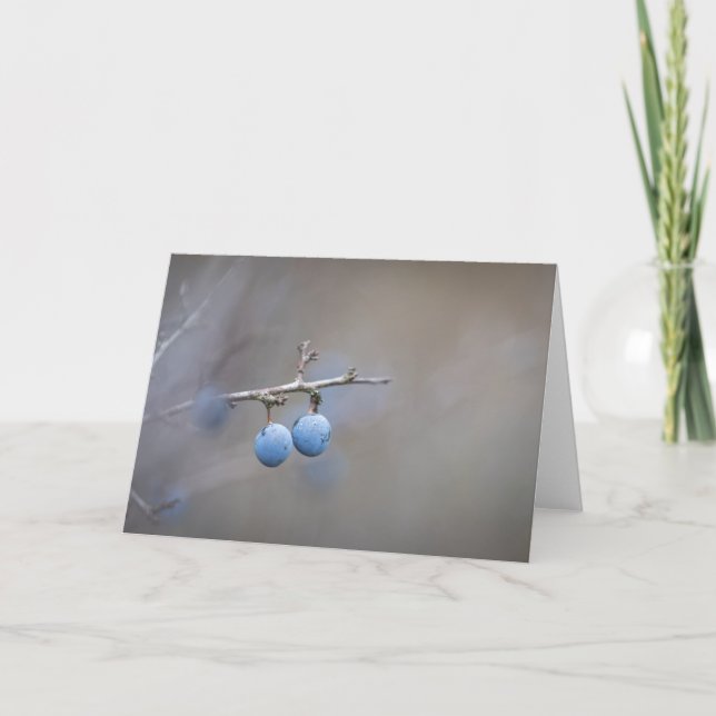 Carte Sloe Berries Nature Photo (Devant)