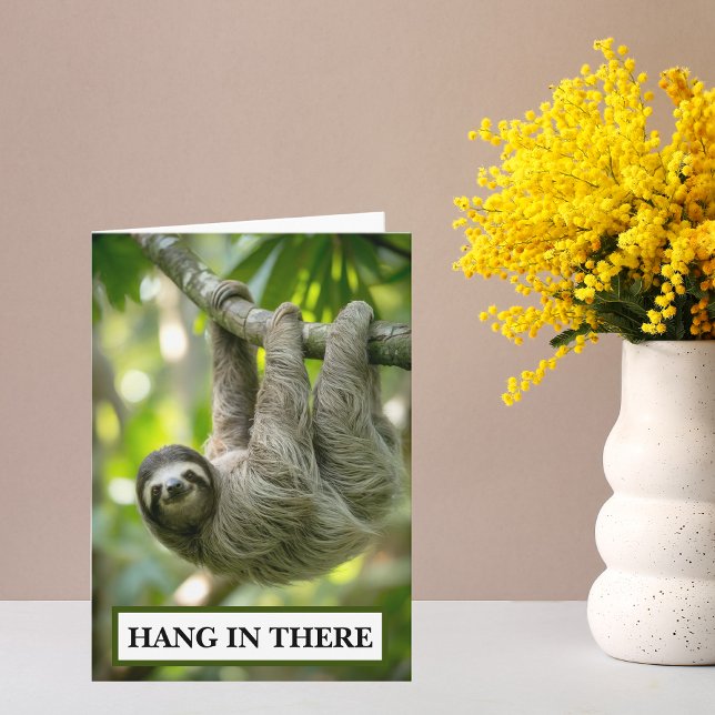 Carte Sloth Hang In There Encouragement (Hang in there sloth encouragement card)